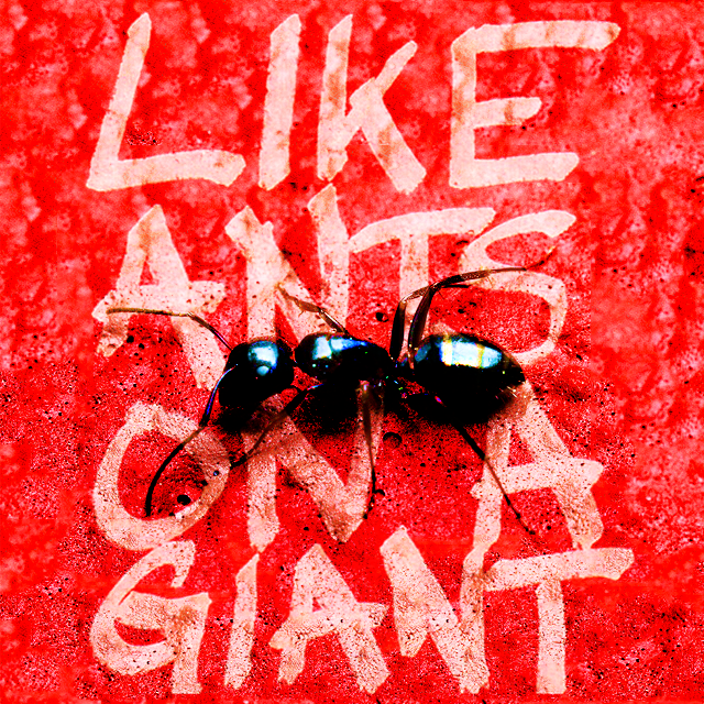 ants on giants 4